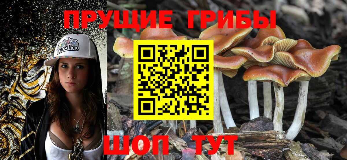 Таганрог  наркотики  Псилоцибиновые грибы ЛСД  Вход с VPN  Псилоцибиновые грибы Psilocybe 